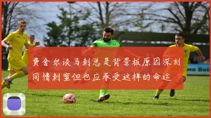 费舍尔谈马刺总是背景板原因深刻同情刺蜜但也应承受这样的命运